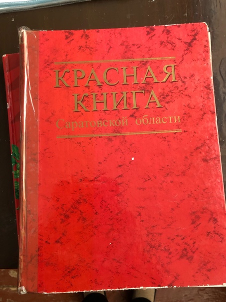 Животные Красной книги.