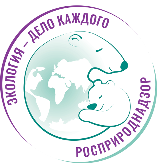Итоги IV Международной детско-юношеской премии «Экология - дело каждого» в Энгельсском муниципальном районе..